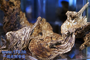 香港沉香木專門店 祥盛檀香扇莊